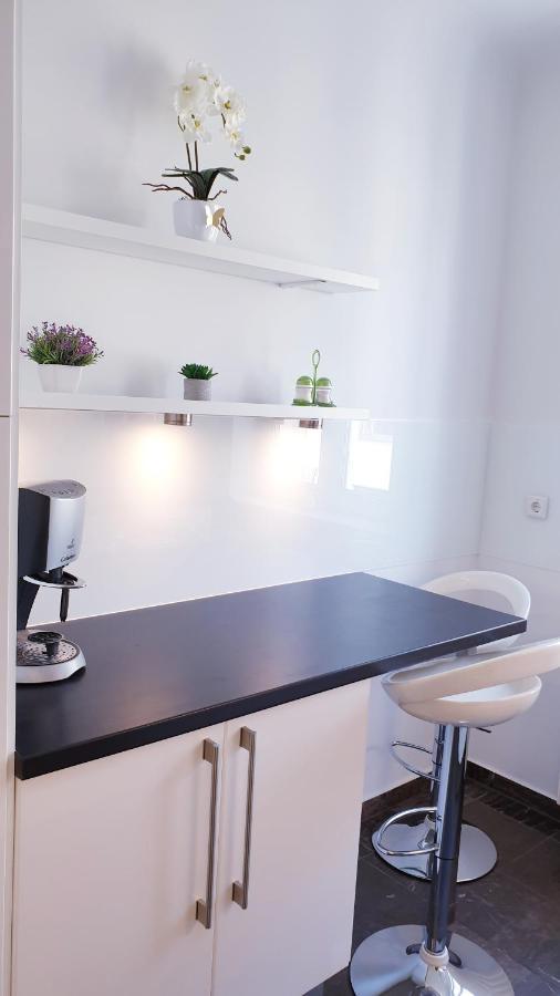 Wonderful 2-bedroom Belvedere Apartamento Viena